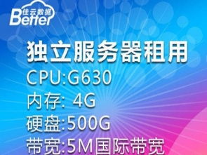 广东服务器租用、香港机柜租用与深圳网站建设推广 企业数字化转型的关键服务